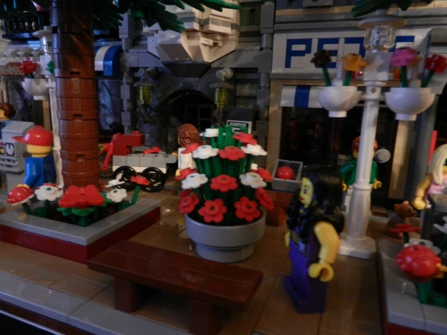 DSCN9475.jpg